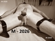 Erotischemassagemarkt.nl - 4/8