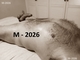 Erotischemassagemarkt.nl - 6/8